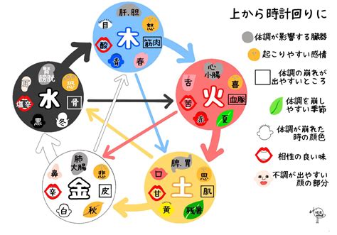 五行健康|カラダは5つに分類される「五行説」とは｜東洋医学 